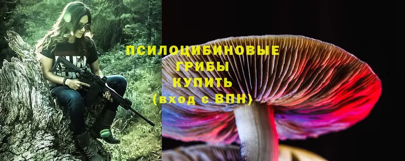 Псилоцибиновые грибы Magic Shrooms  Калачинск 